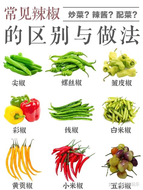 辣椒高产的品种有哪些