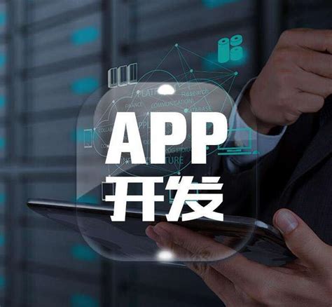辽宁科技app软件开发公司