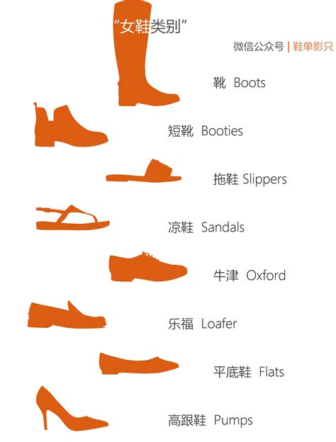 运动鞋的分类名称