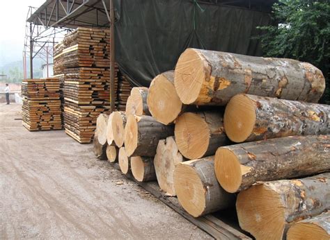 适合木材行业的名字