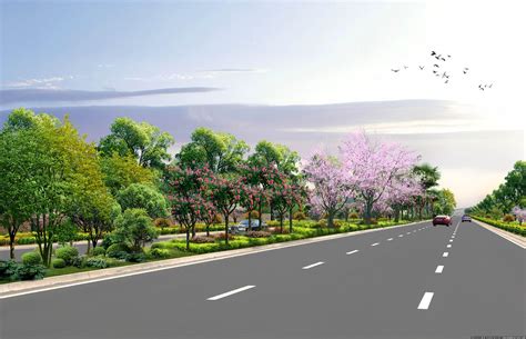 道路绿化提升改造方案