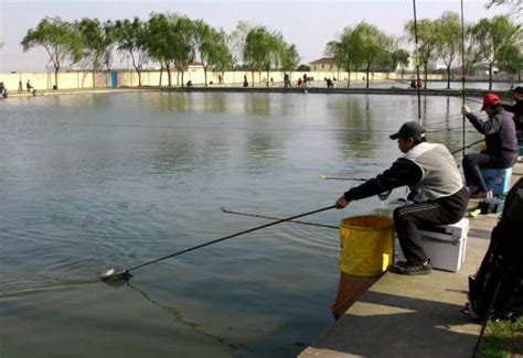 郊区河道下网捕鱼违法吗