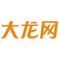 重庆大龙网络科技公司