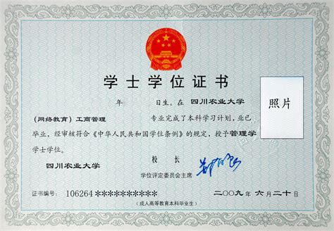 重庆理工大学学位证图片