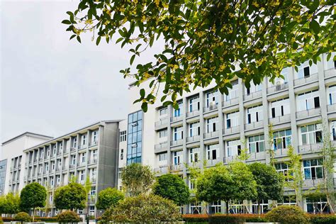 重庆的公办职业学院排名