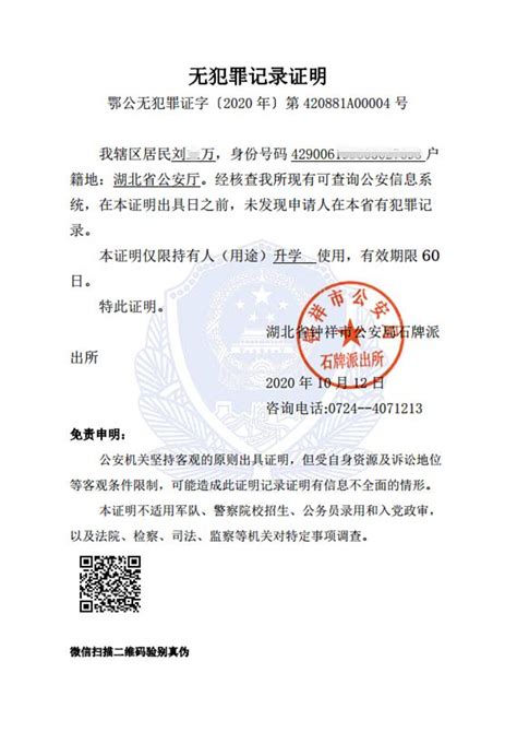 重庆网上办无犯罪记录证明