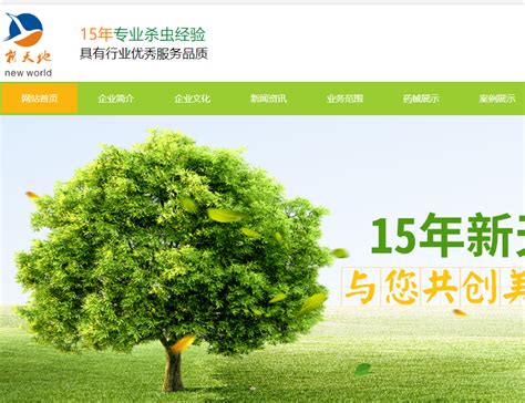 重庆网站推广哪家公司专业图片