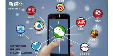 重庆网站推广优化软件服务