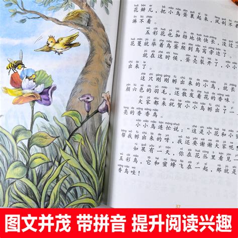 金波童话根鸟读后感简短小学生