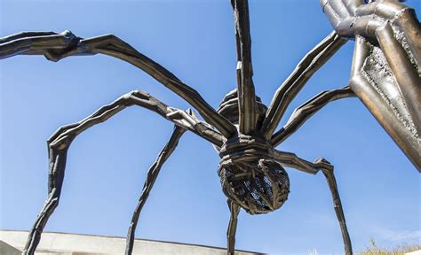 钢丝雕塑蜘蛛