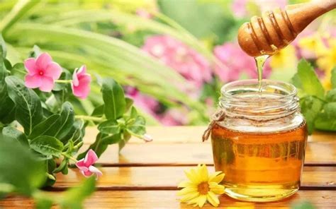 长期喝蜂蜜有什么好处