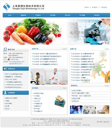 闵行区专业网站优化平台