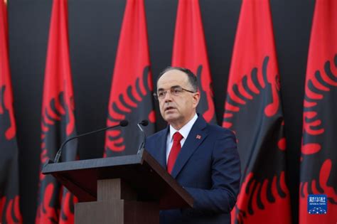 阿尔巴尼亚总统舞弊