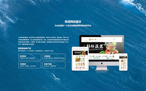 陕西网站优化专业公司