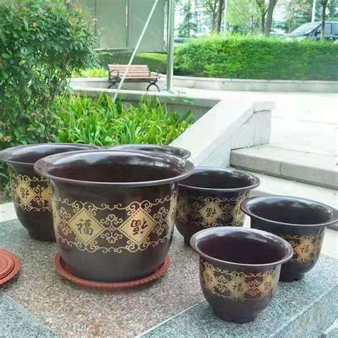 陶瓷花盆可以种月季吗