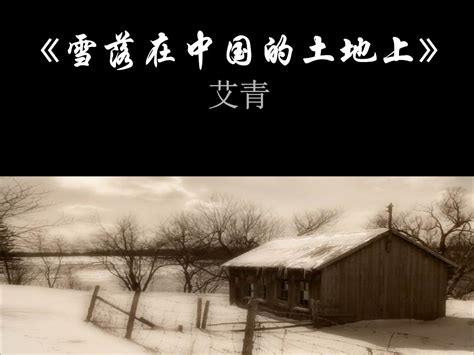 雪落在中国的土地上读后感悟