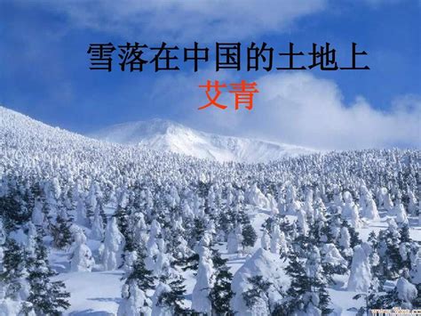 雪落在中国的土地上ppt