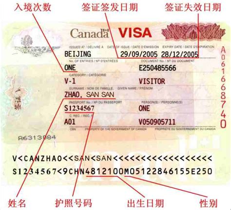 青岛加拿大签证代理公司电话