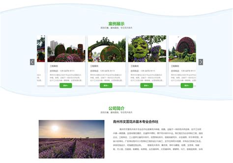 青州品牌网站建设服务