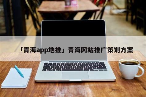 青海网站推广策划方案