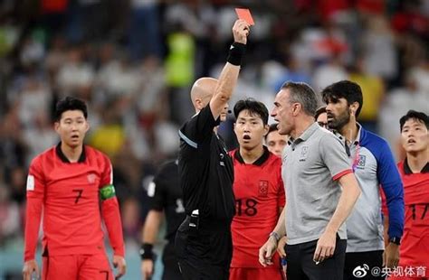 韩国主教练被红牌罚下照片
