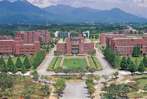 韩国新成立大学