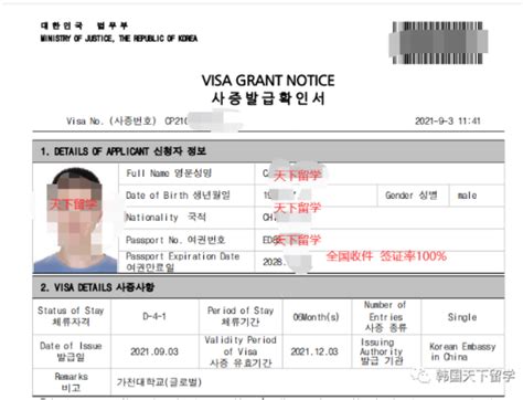 韩国留学签证到期了还能回国吗