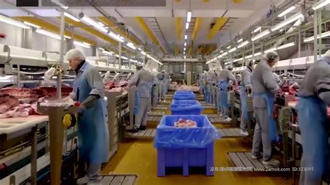 食品厂车间流水线工人视频