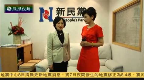 香港新民党选举