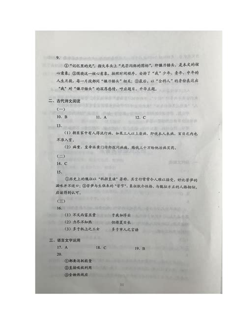 高考语文试题及答案解析湖北省2019