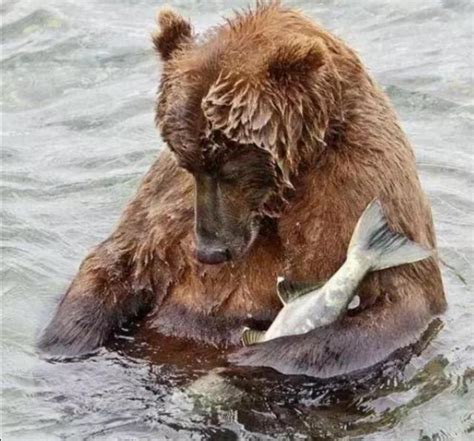 鱼和熊掌为什么不可兼得