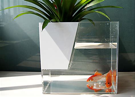 鱼缸正常是什么玻璃