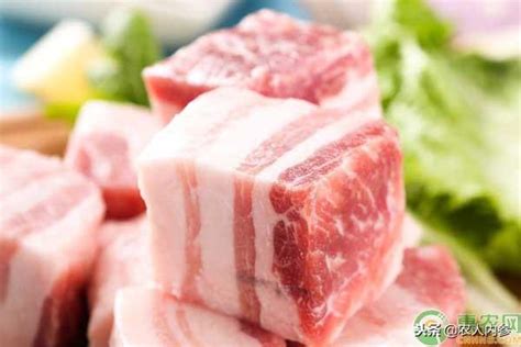 鲜猪肉价格今日多少一斤