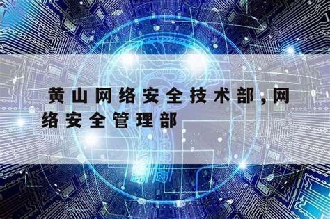 黄山网络推广软件公司