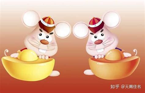 鼠宝宝起名粤语