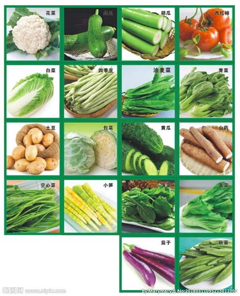 129种蔬菜名字照片