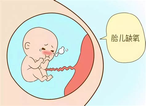 15周胎儿缺氧会怎么样