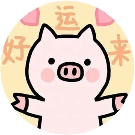 2019年猪宝宝乳名男宝