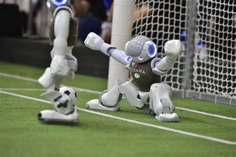 2019机器人世界杯夺冠