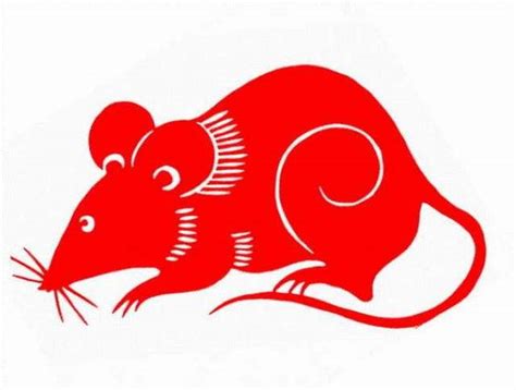 2020年属鼠可以穿红色吗