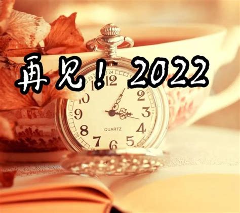2022回顾