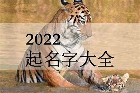 2022年属虎吉利名字男孩