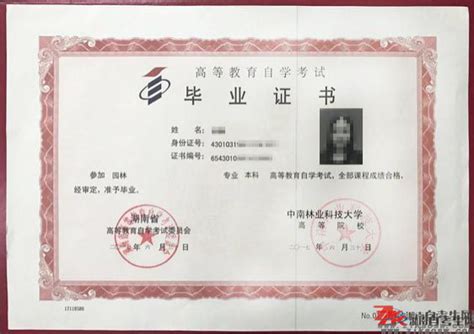 湖南外国语学院护理毕业证图片