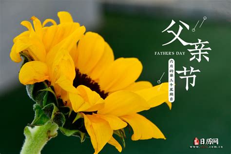 2023年中国父亲节是几月几日