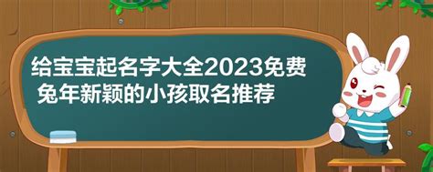 2023王氏兔宝起名
