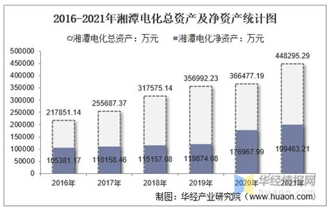 2024年湘潭电化目标价