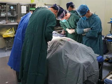 24岁大学生去世捐献器官救7人