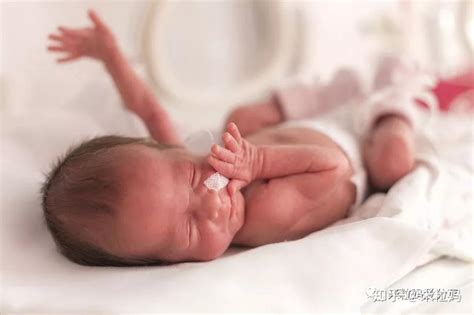 27周早产宝宝存活率多高