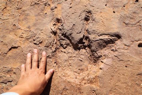 5岁男童发现恐龙足迹