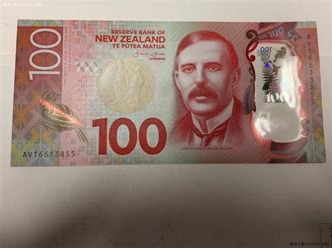 50新西兰元能买什么